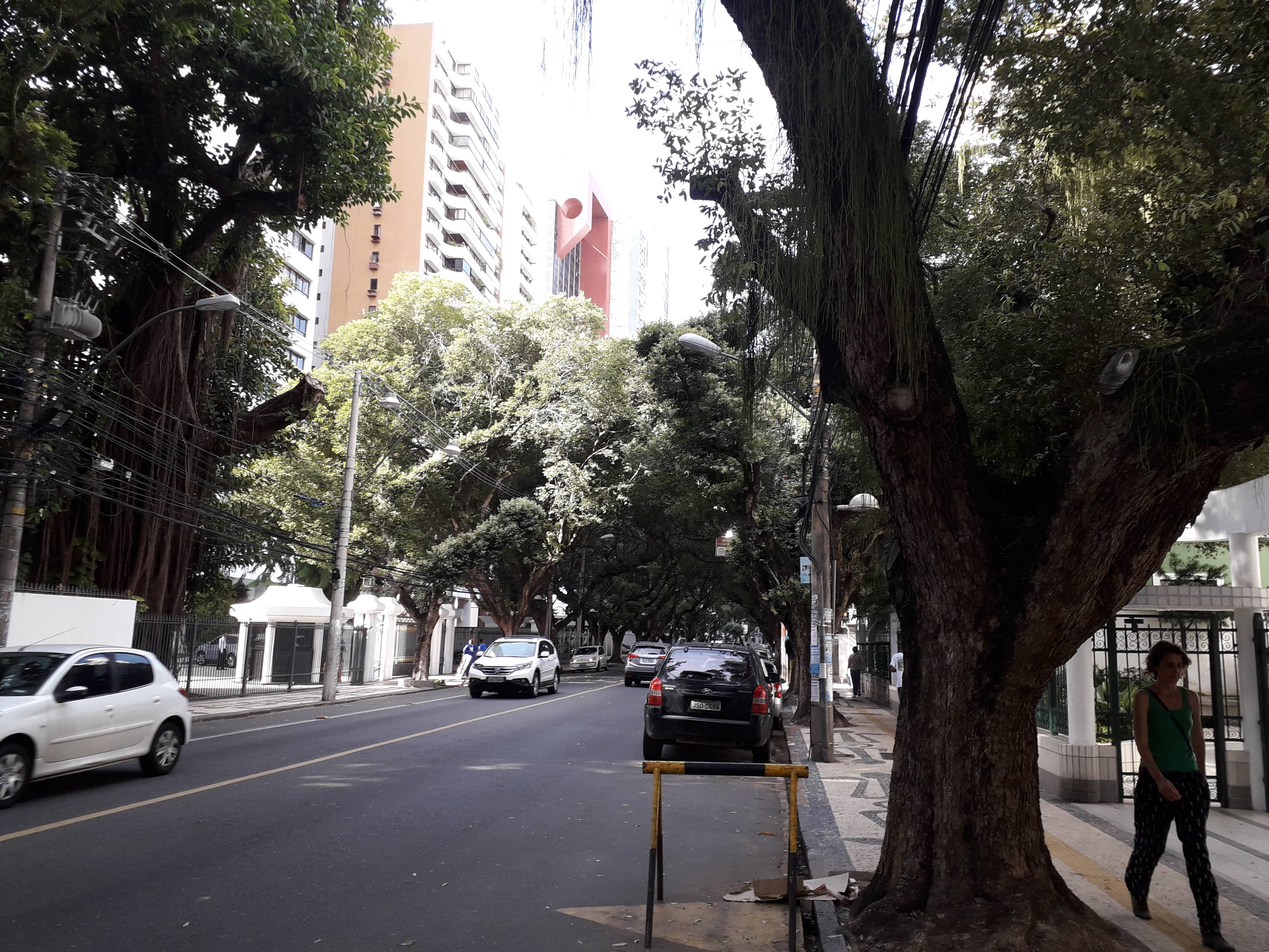 Scenic Corredor da Vitória