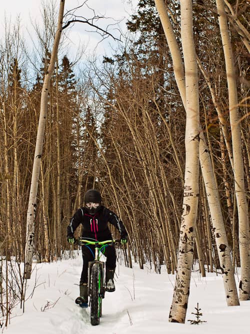 Beginner-Friendly Blue Trails