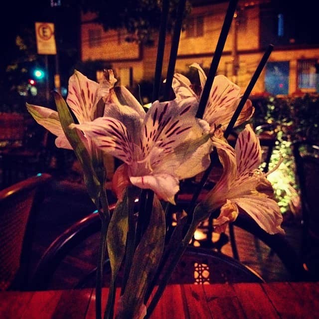 Culinary Exploration