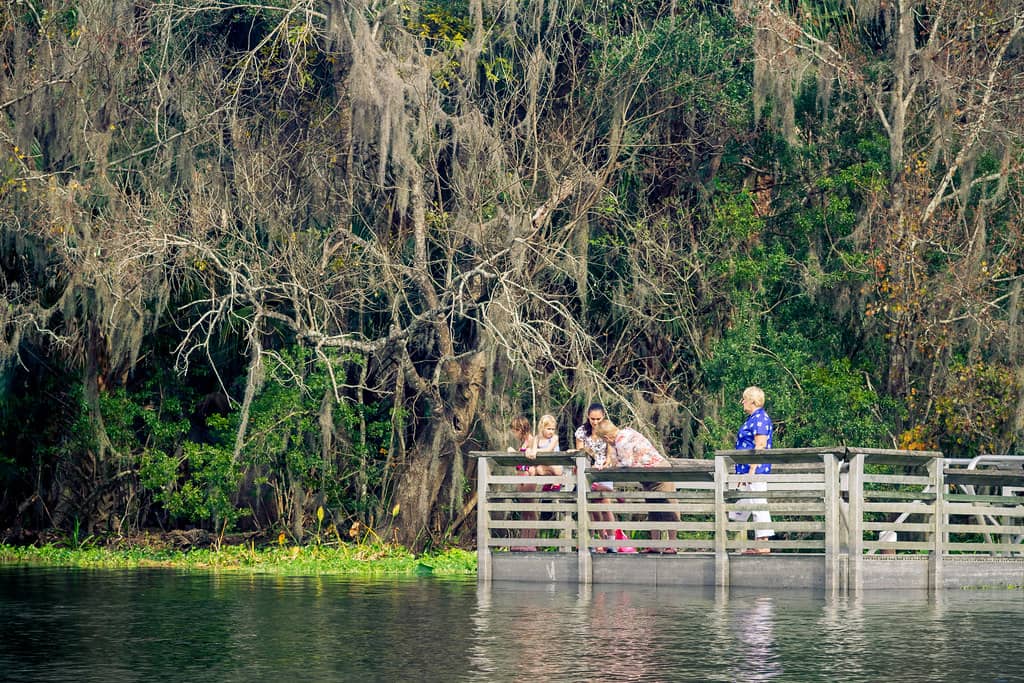 Kayaking and Canoeing