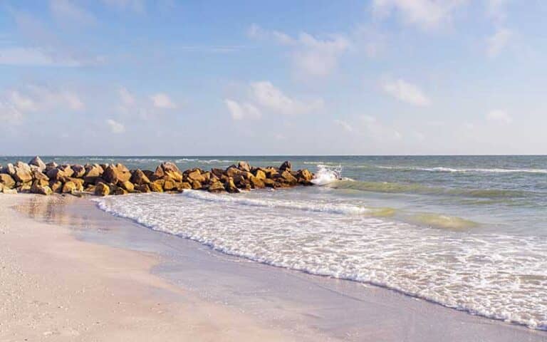 Dog-Friendly Paradise