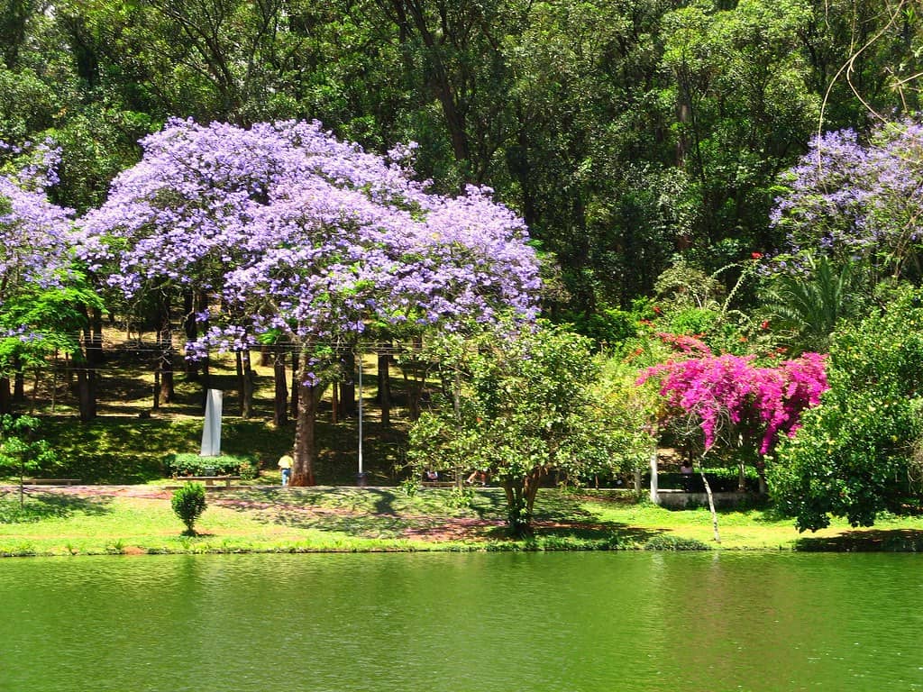 Water Garden