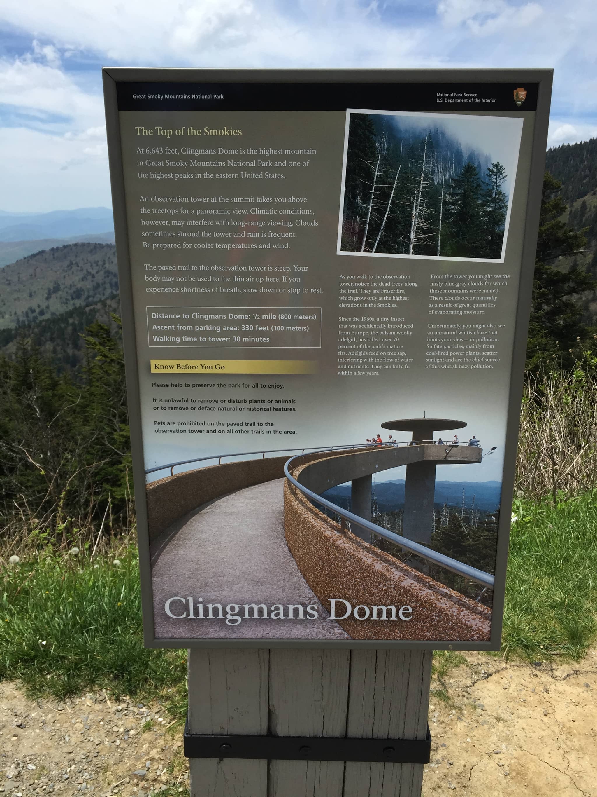 The Paved Trail