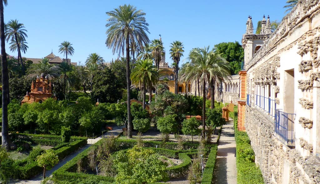 Tranquil Tree-Lined Plaza