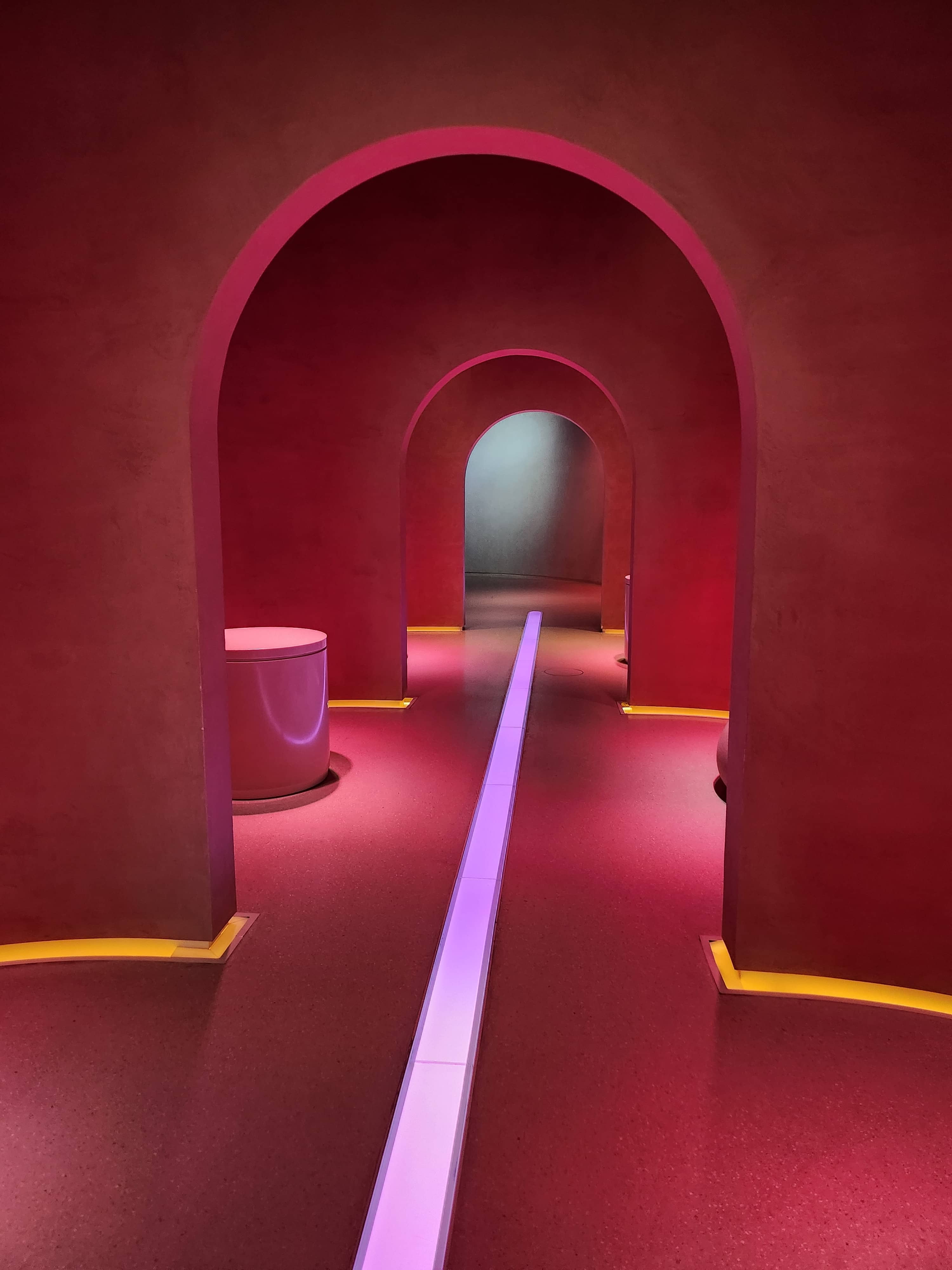 The 'Future of Wellness' Zone