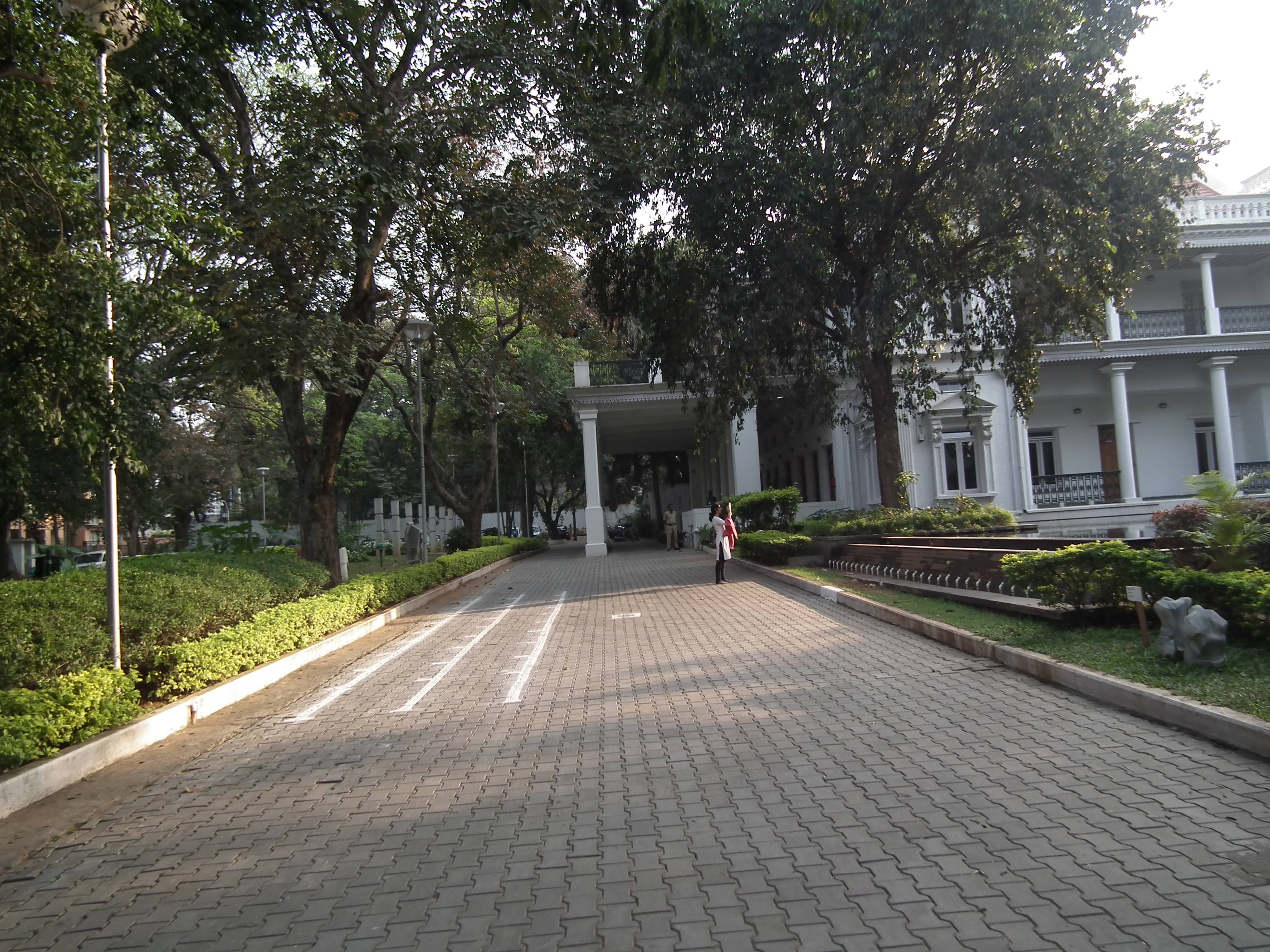 Tranquil Garden Oasis