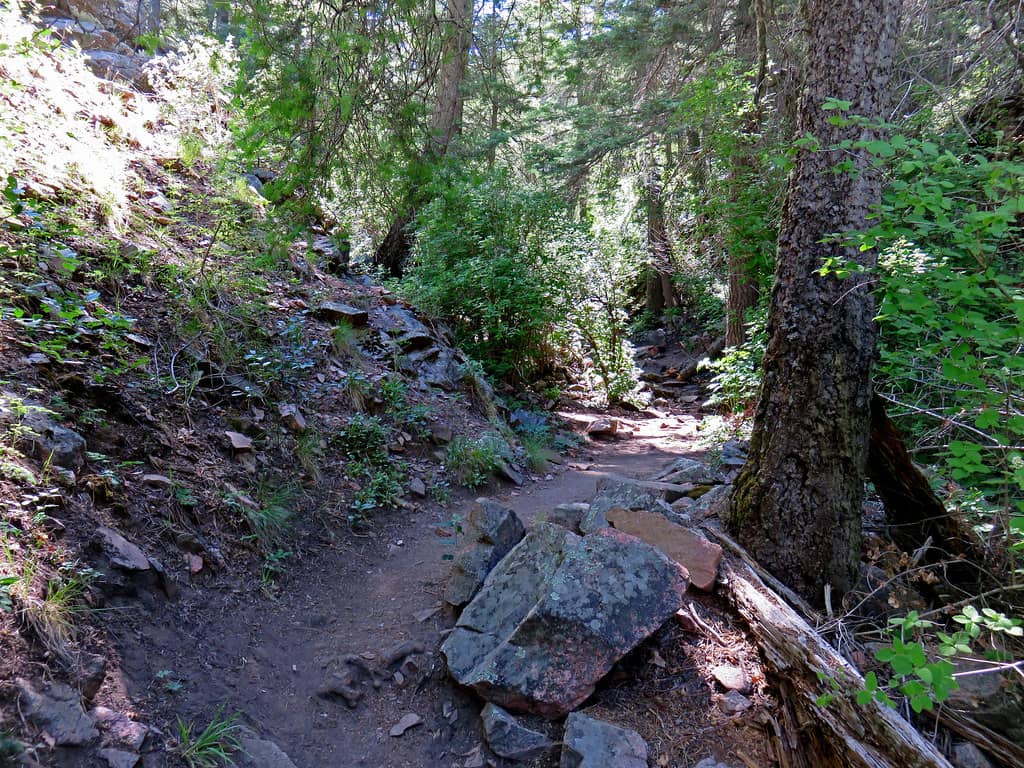 Waterfall Trail