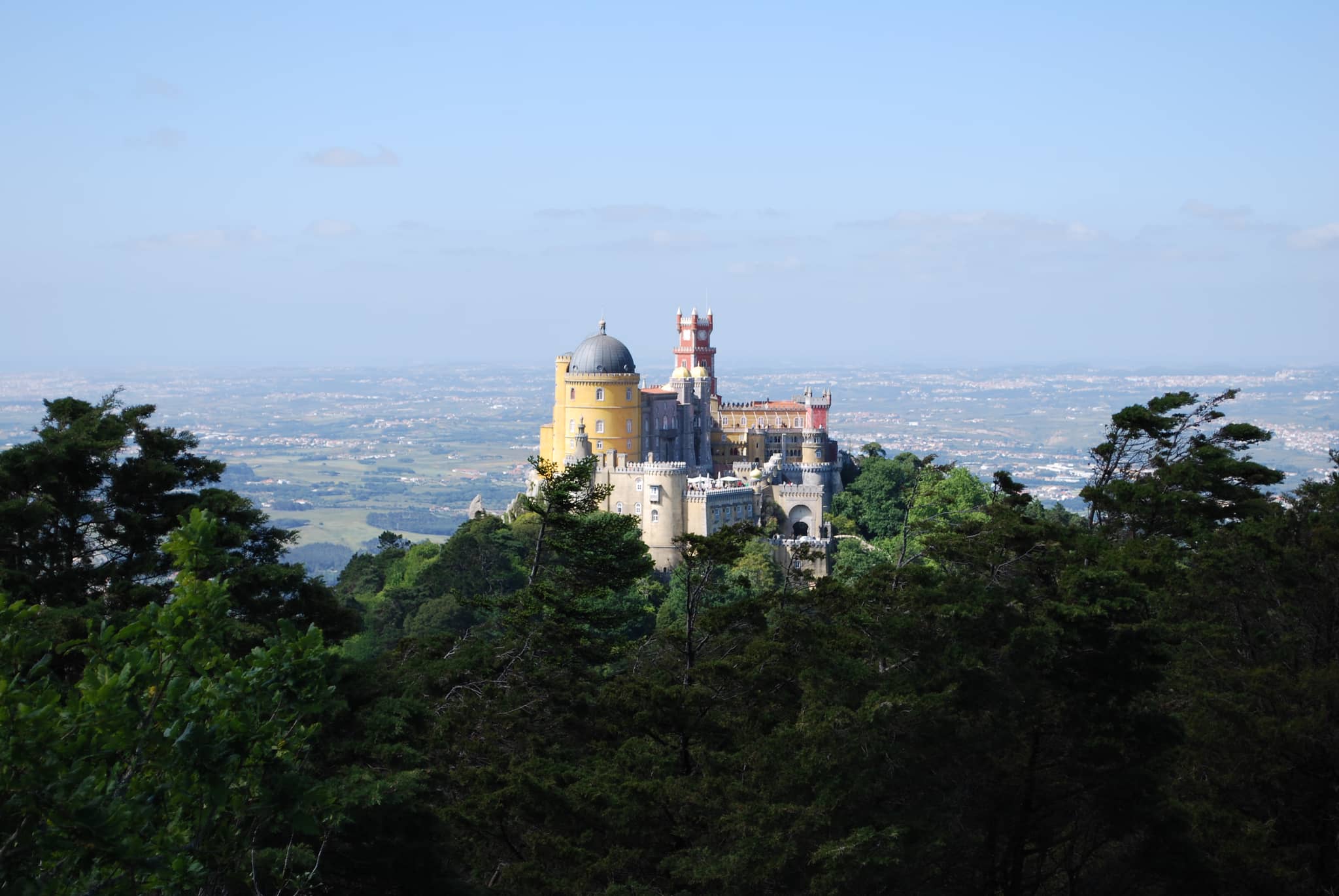 Panoramic Viewpoint