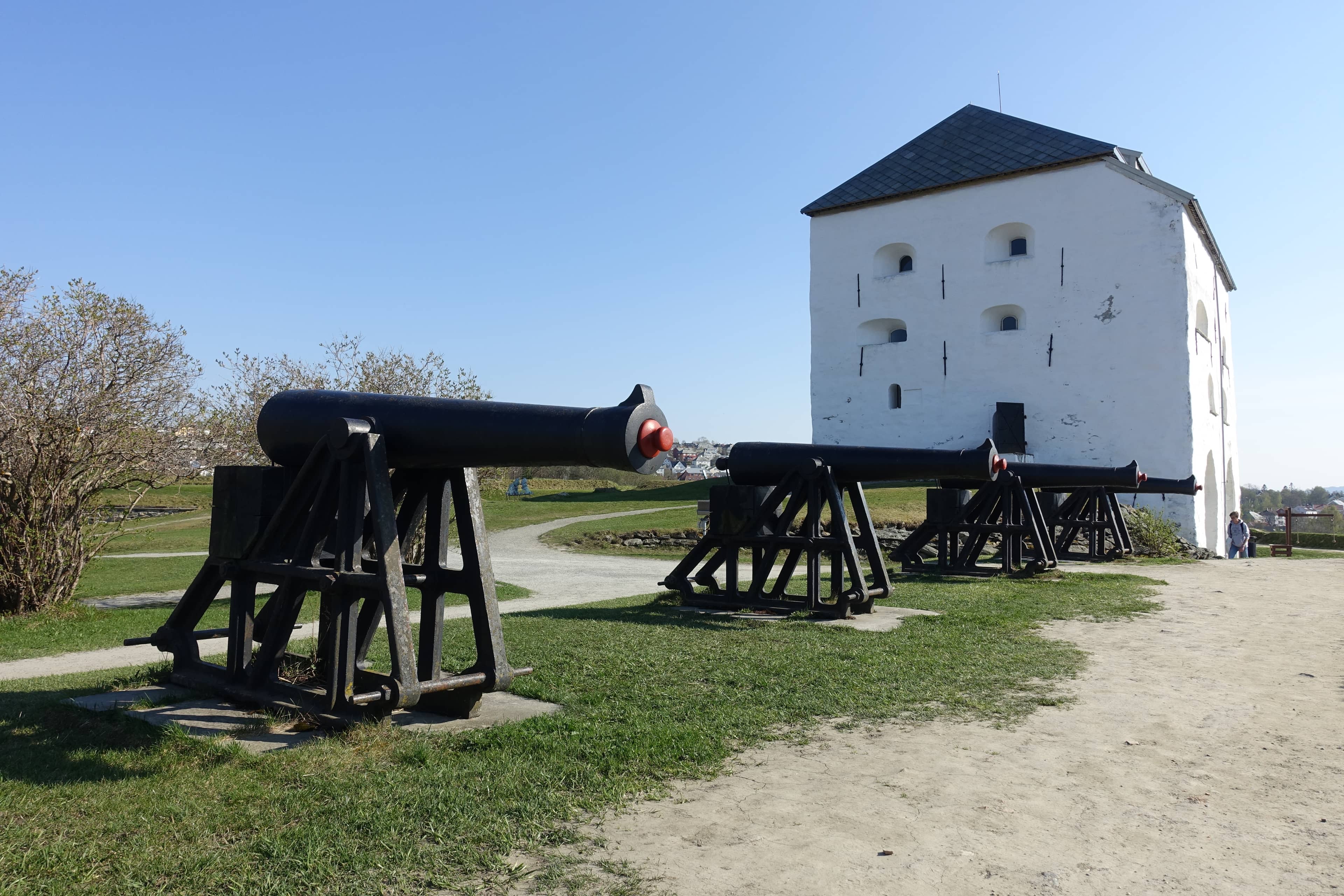 Historic Cannons and Artillery
