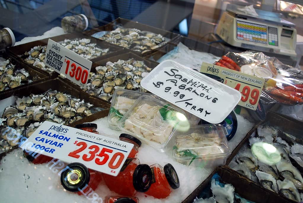 Fresh Sashimi Platters