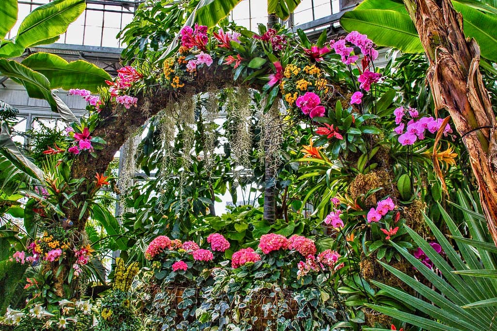 Seasonal Flower Shows