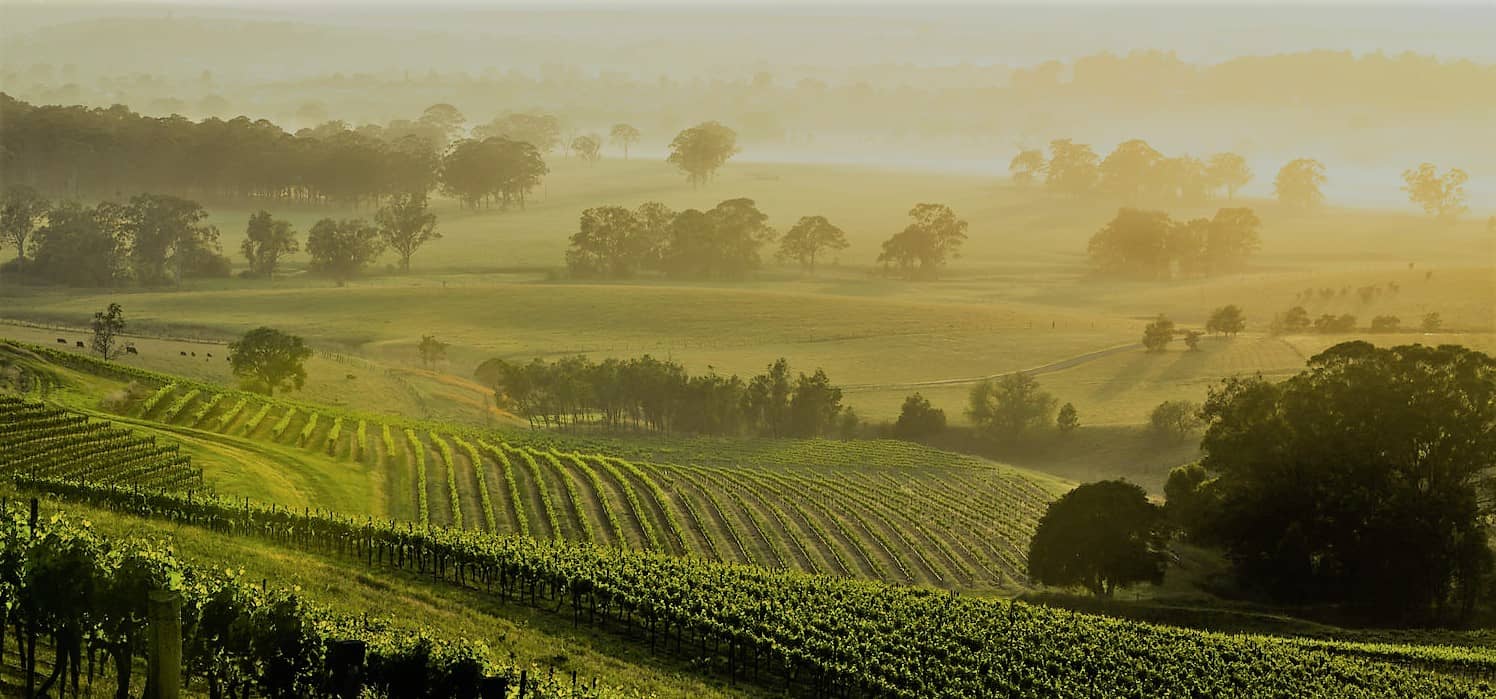 Breathtaking Valley Views