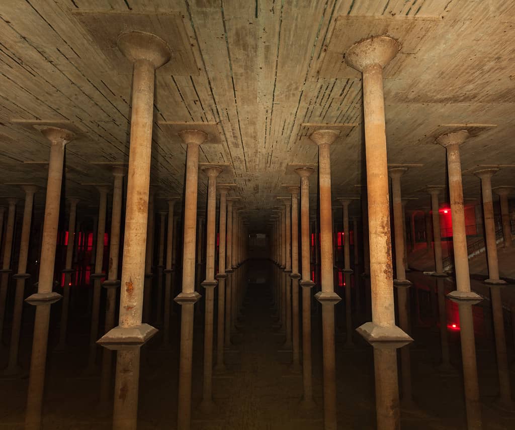 Art Installations & Light Shows