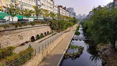 Scenic Riverside Walks