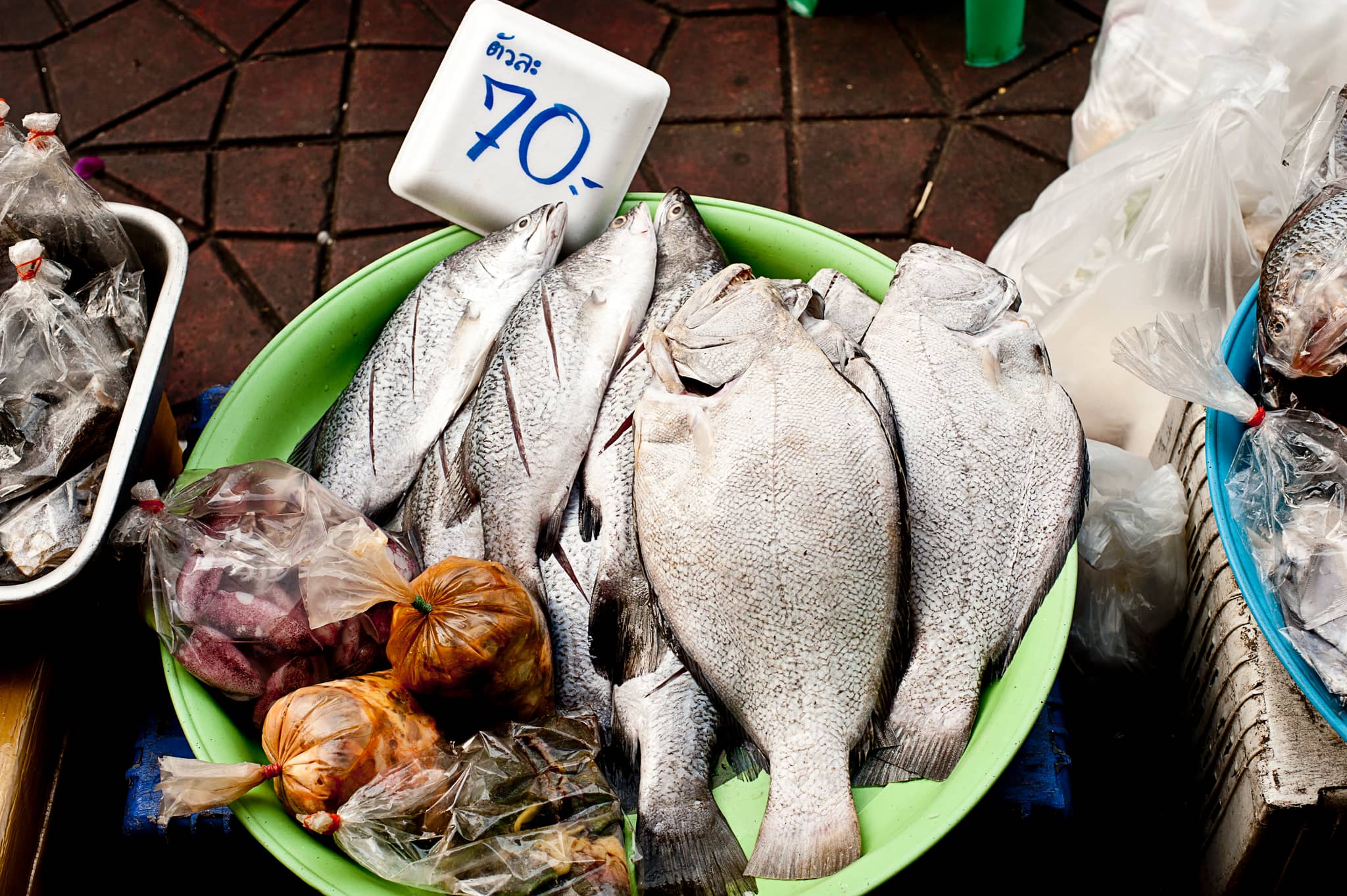 Seafood Feast