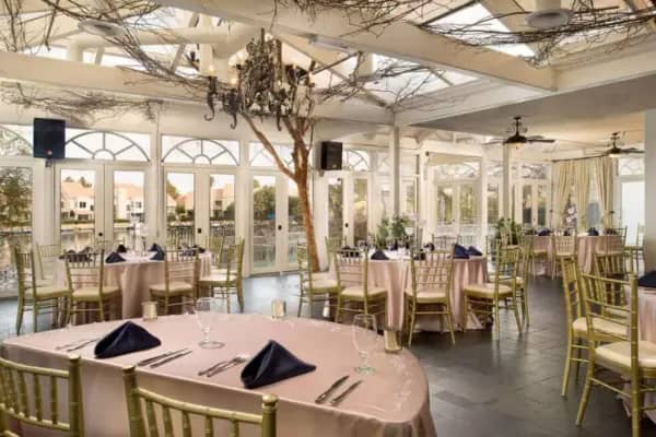 Vibrant Opening Receptions