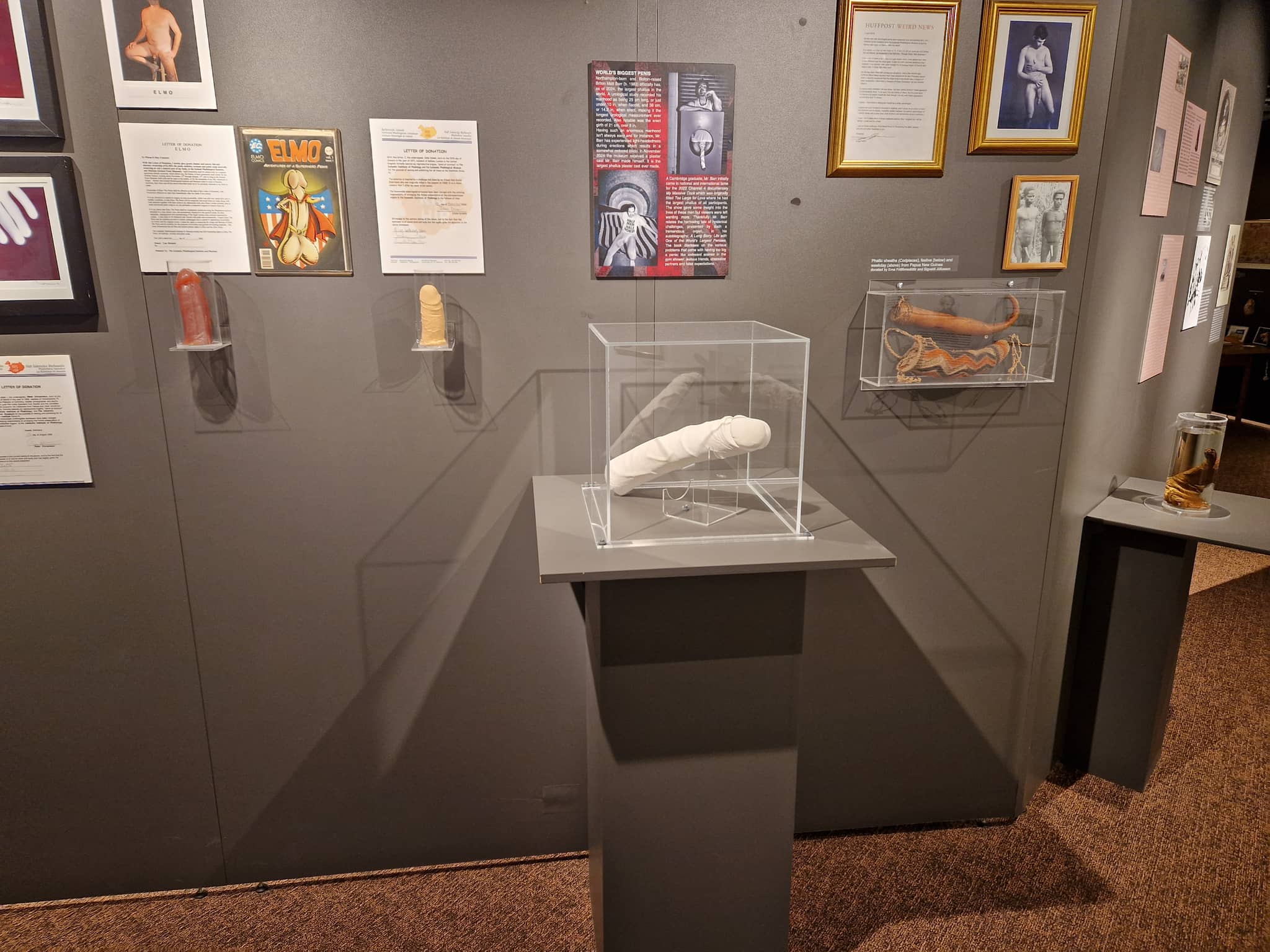 Rainbow Thread Exhibit