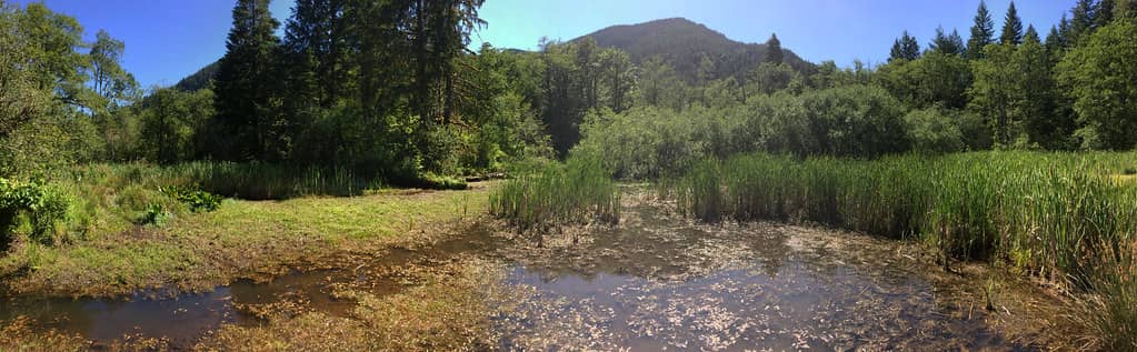 Playground & Water Feature
