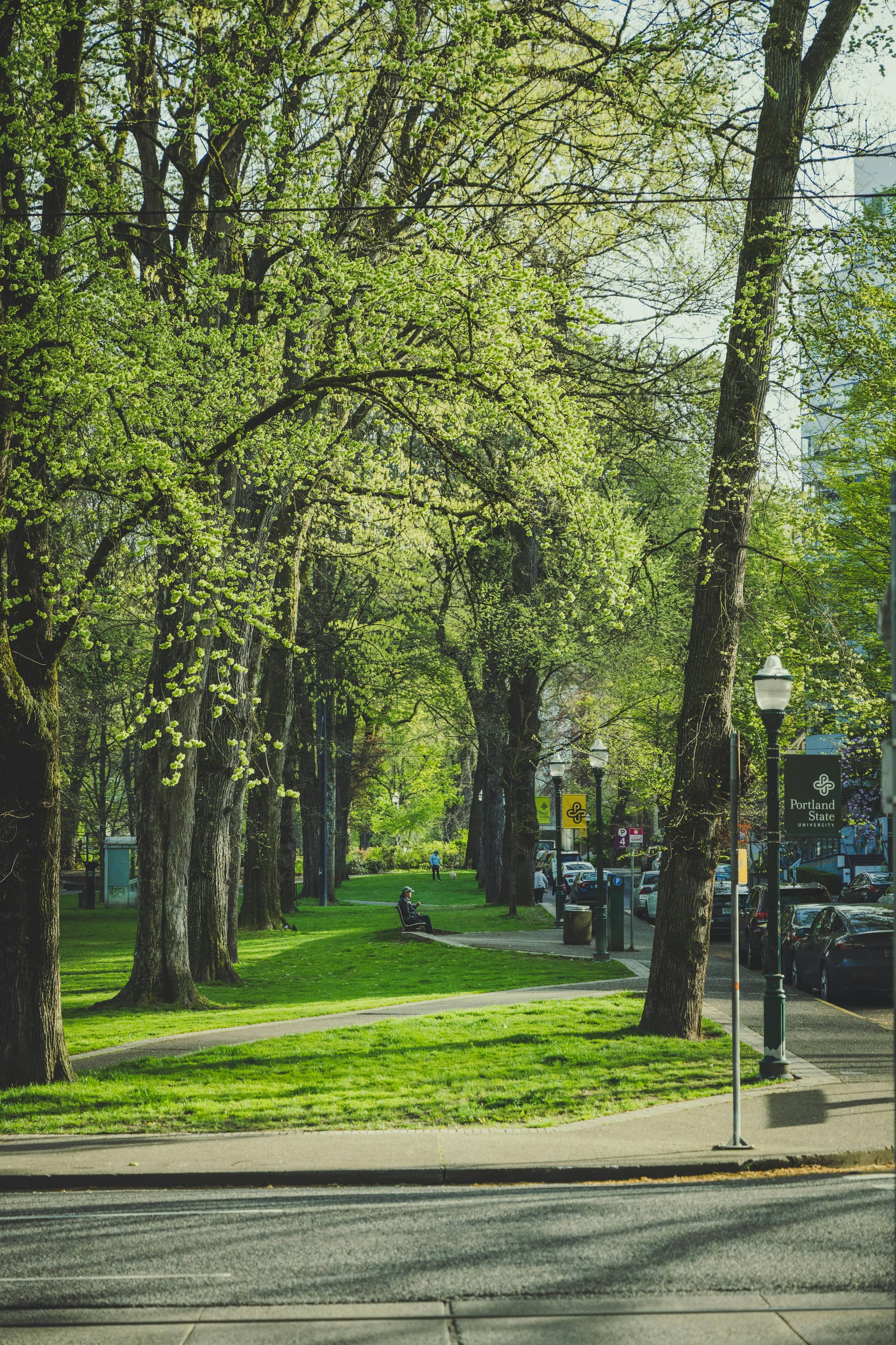 Paved Walking Path