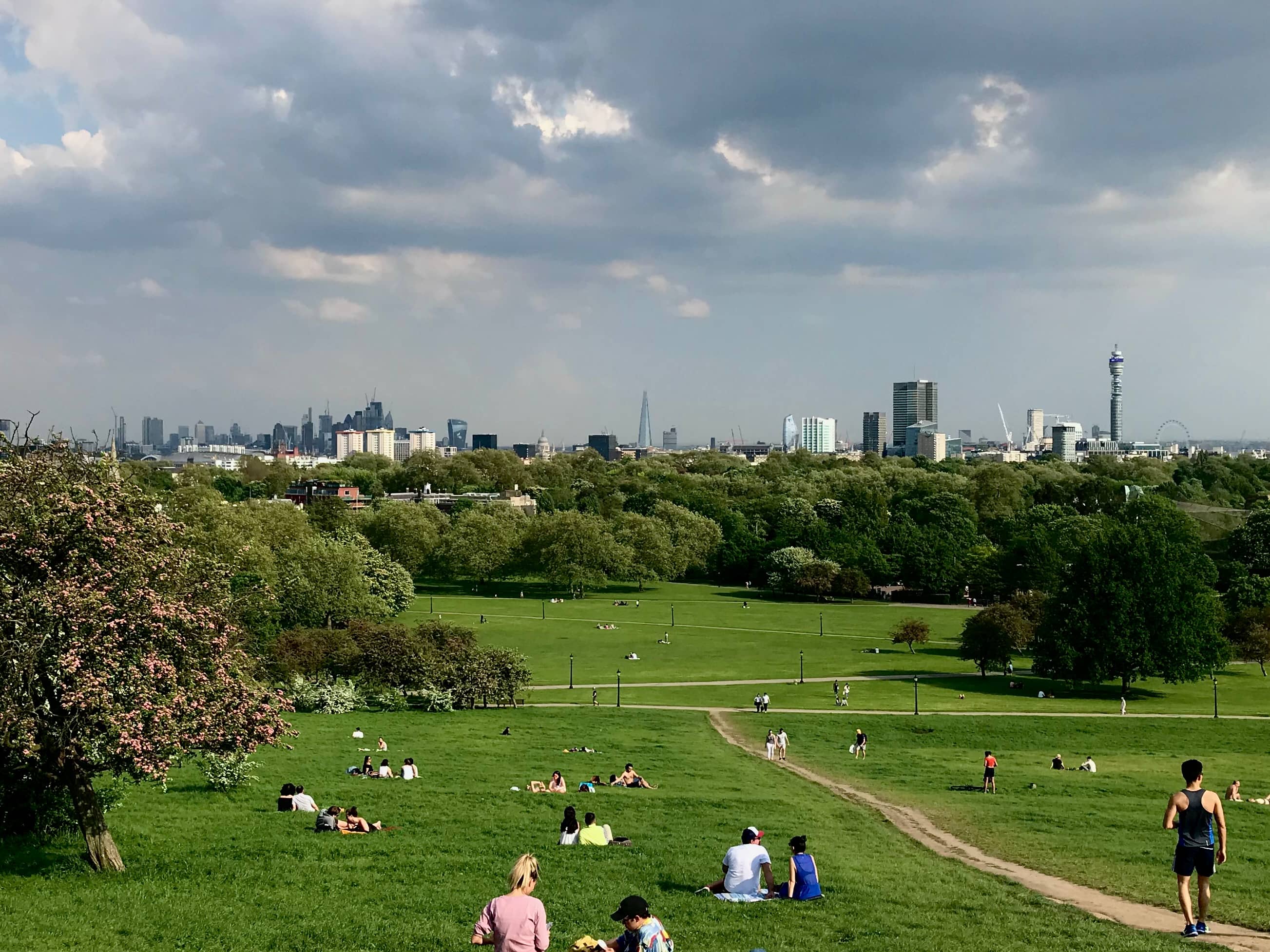 Primrose Hill Views
