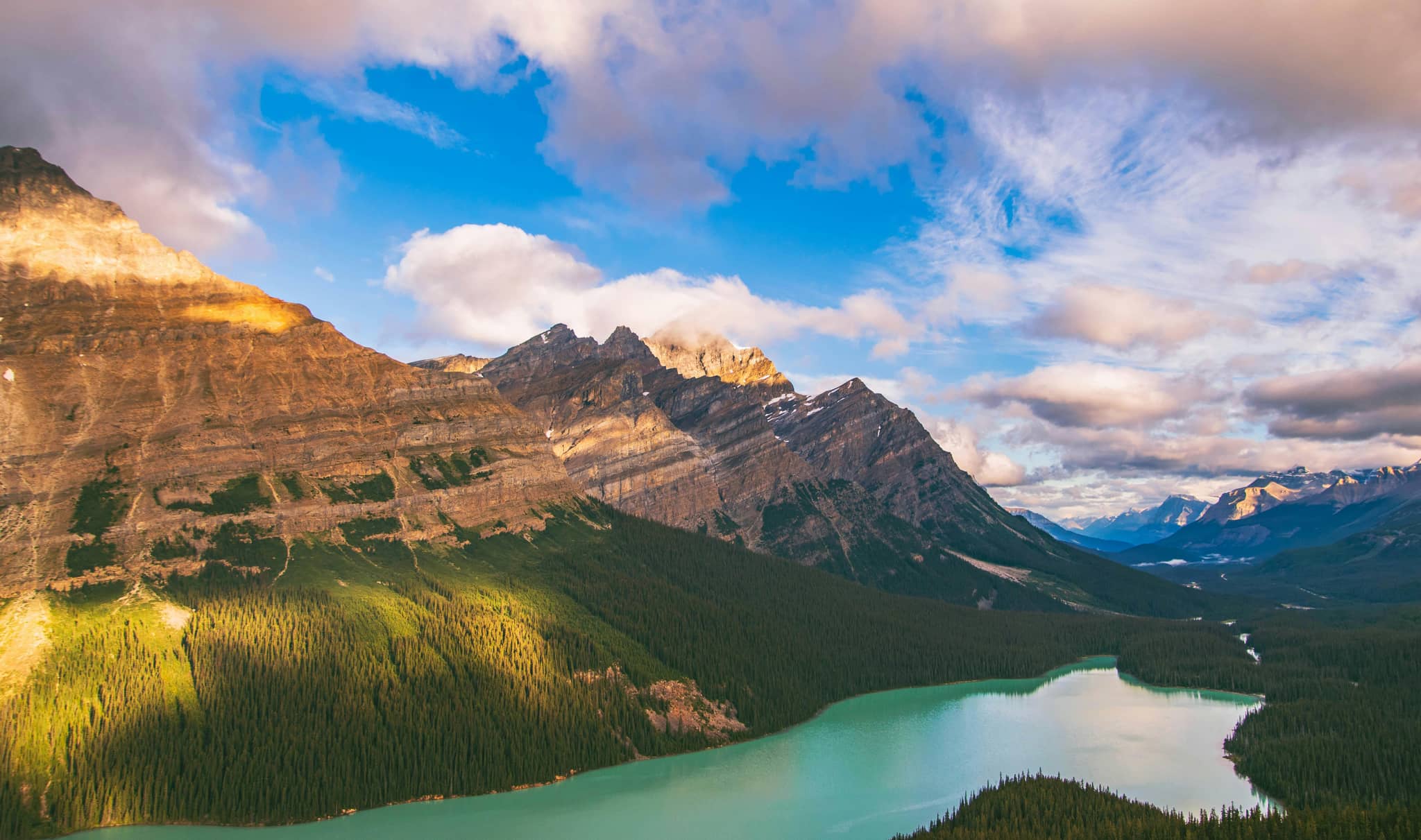 Secret Peyto Lake Panorama View