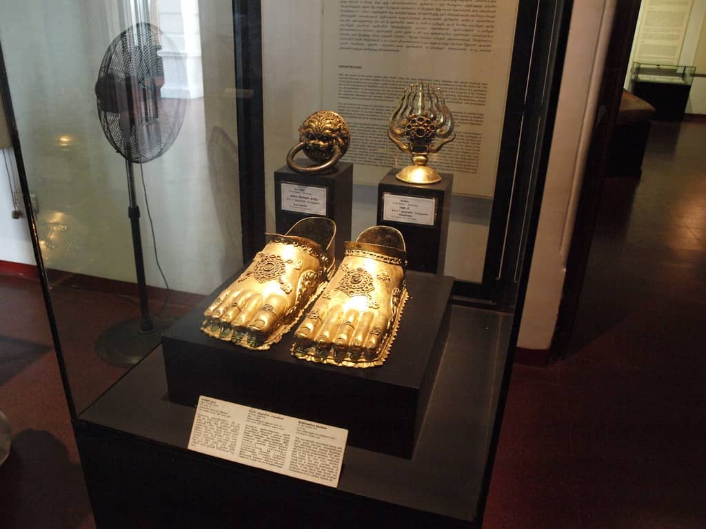 Natural History Exhibits