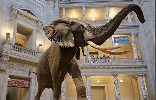 Personal Veteran Stories