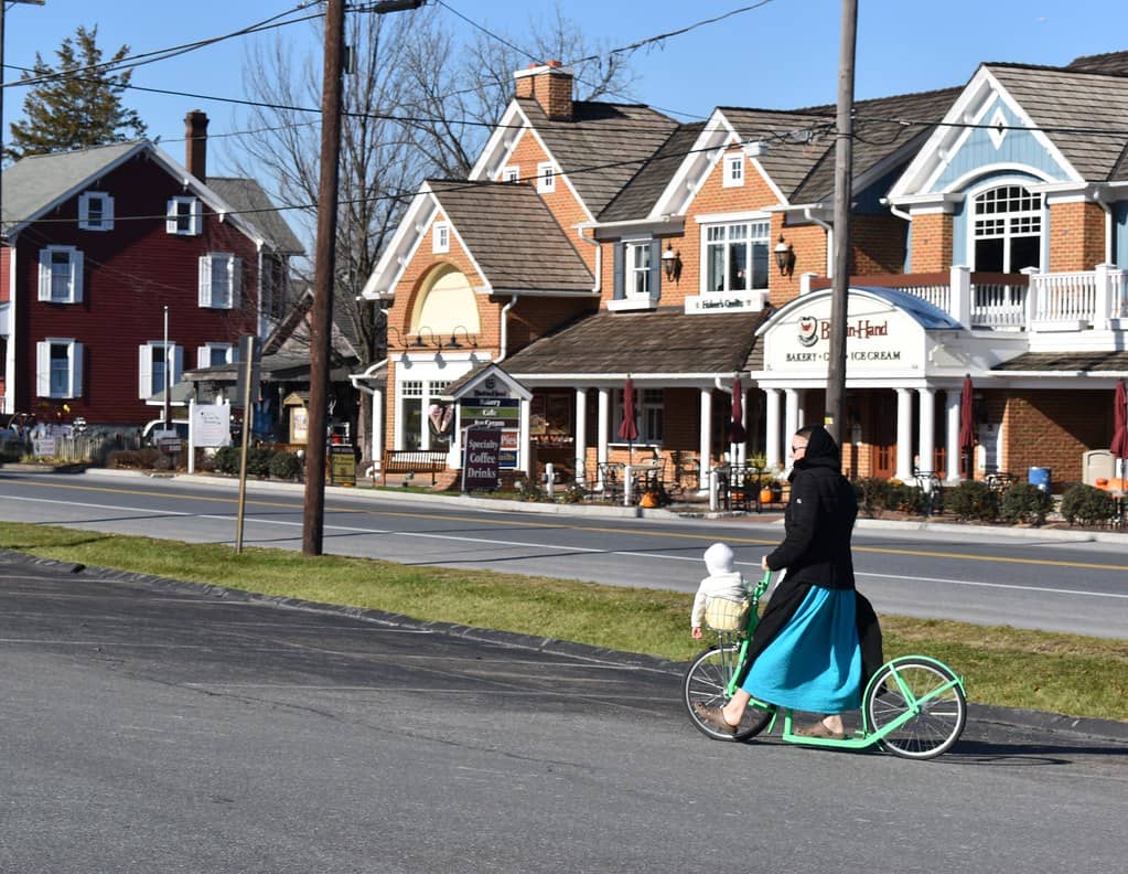 Bird-in-Hand Bakery & Cafe