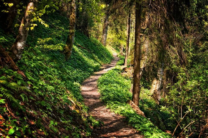 Tranquil Walking Trails