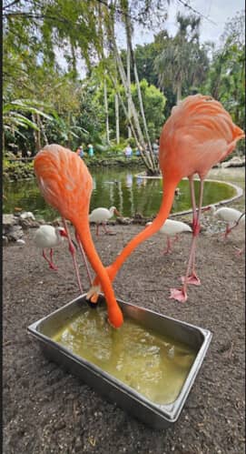 Wildlife Sanctuary