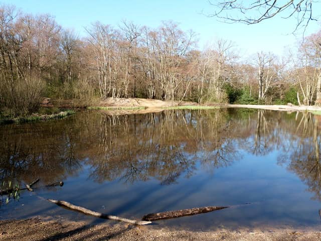 Rivers and Ponds