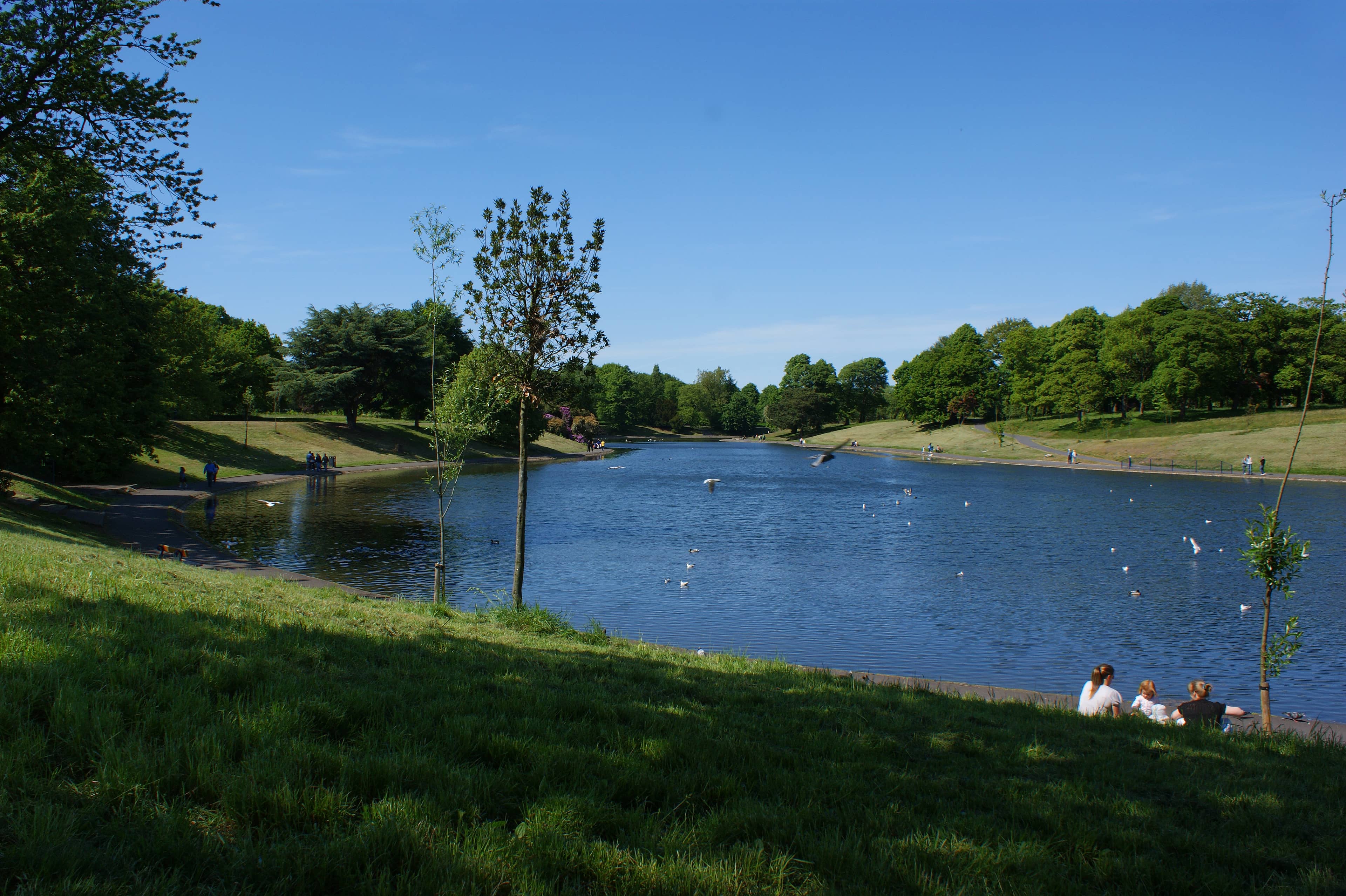 Sefton Park Lake