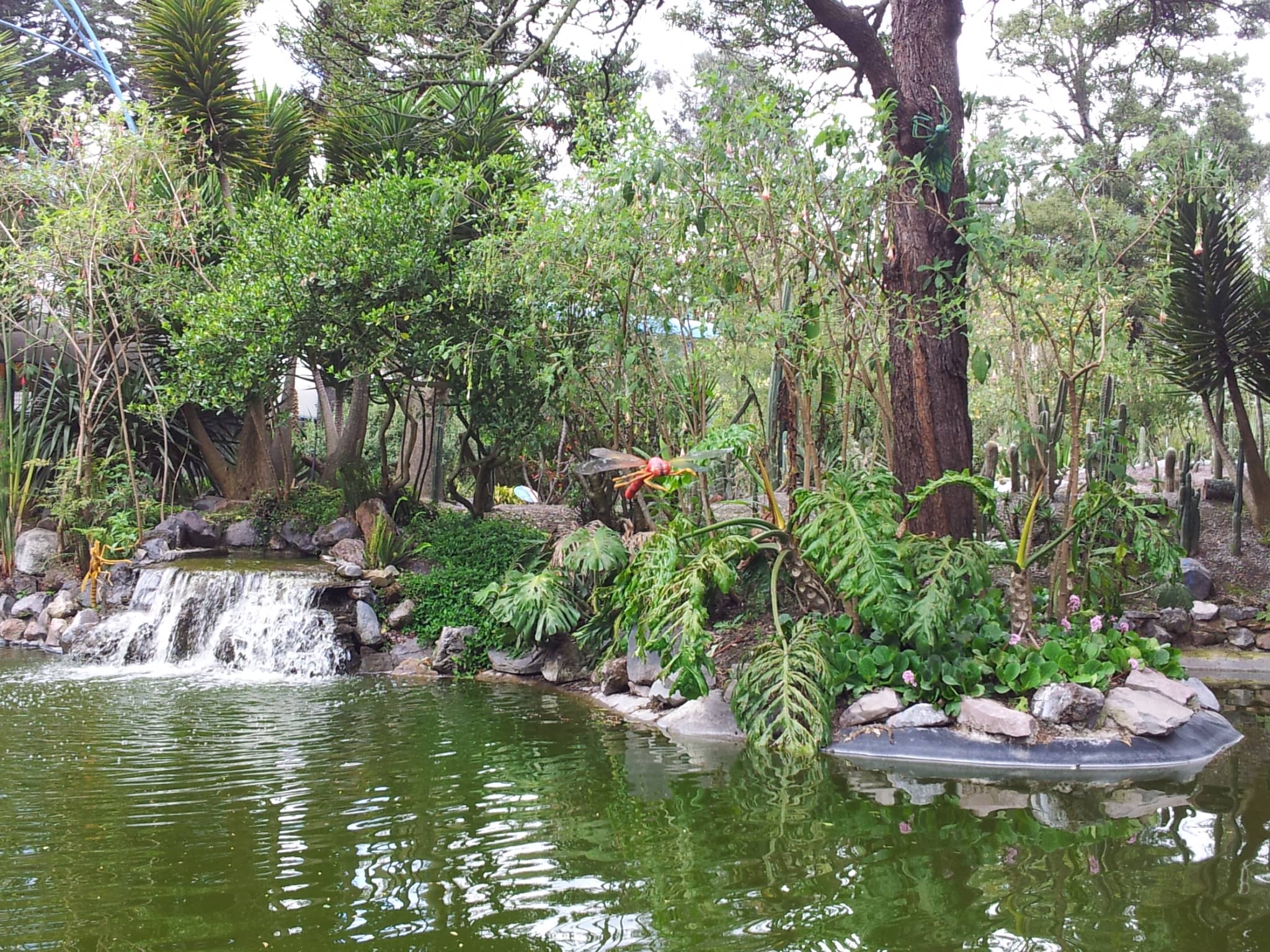 Japanese Garden