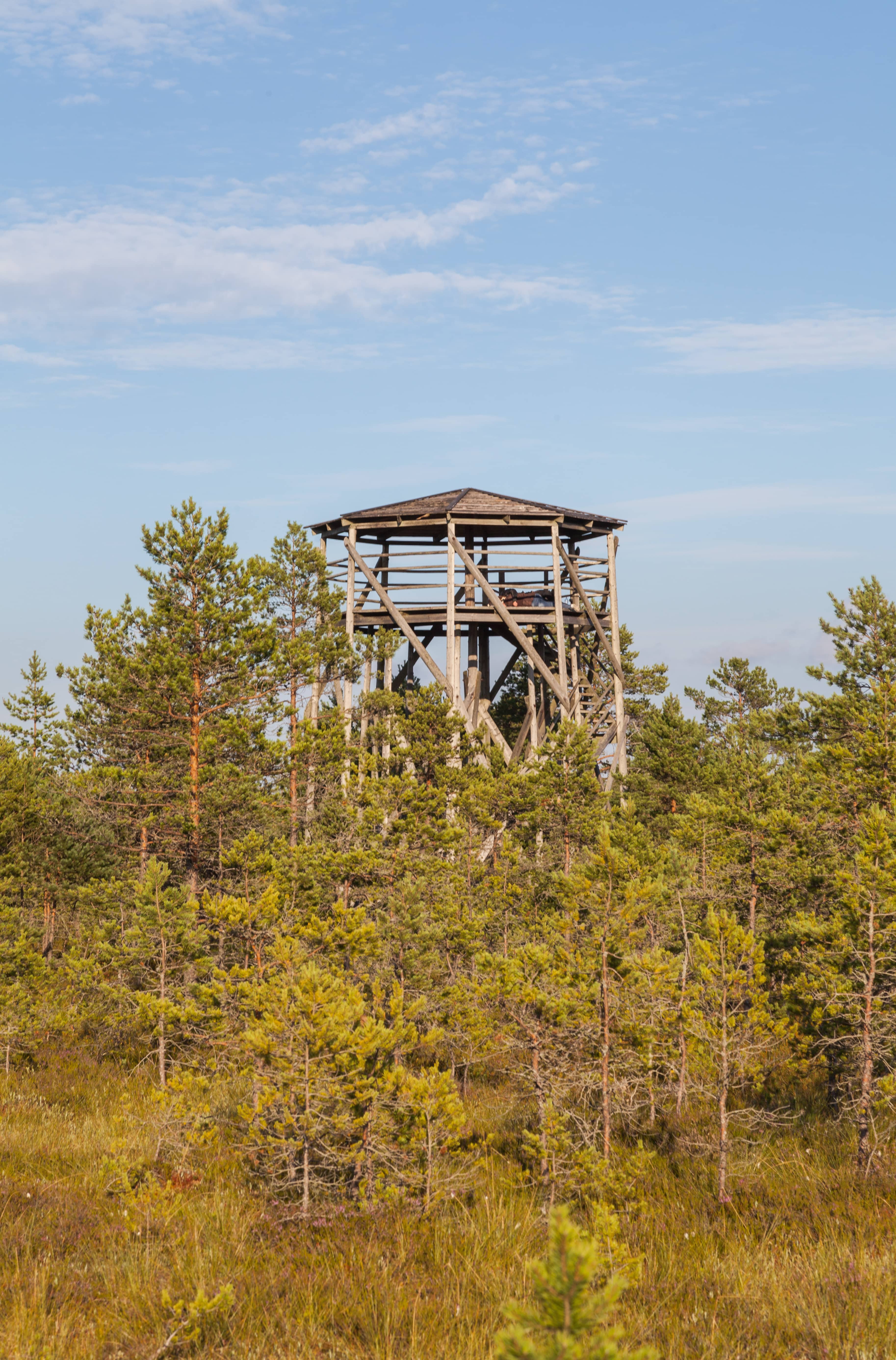 Panoramic Observation Tower