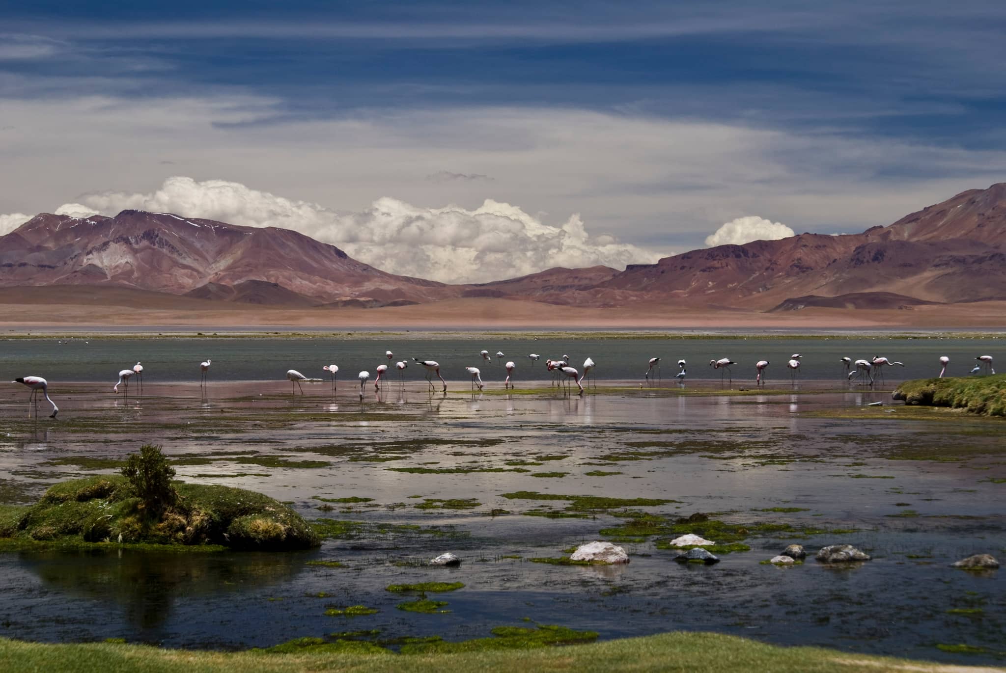 Abundant Wildlife