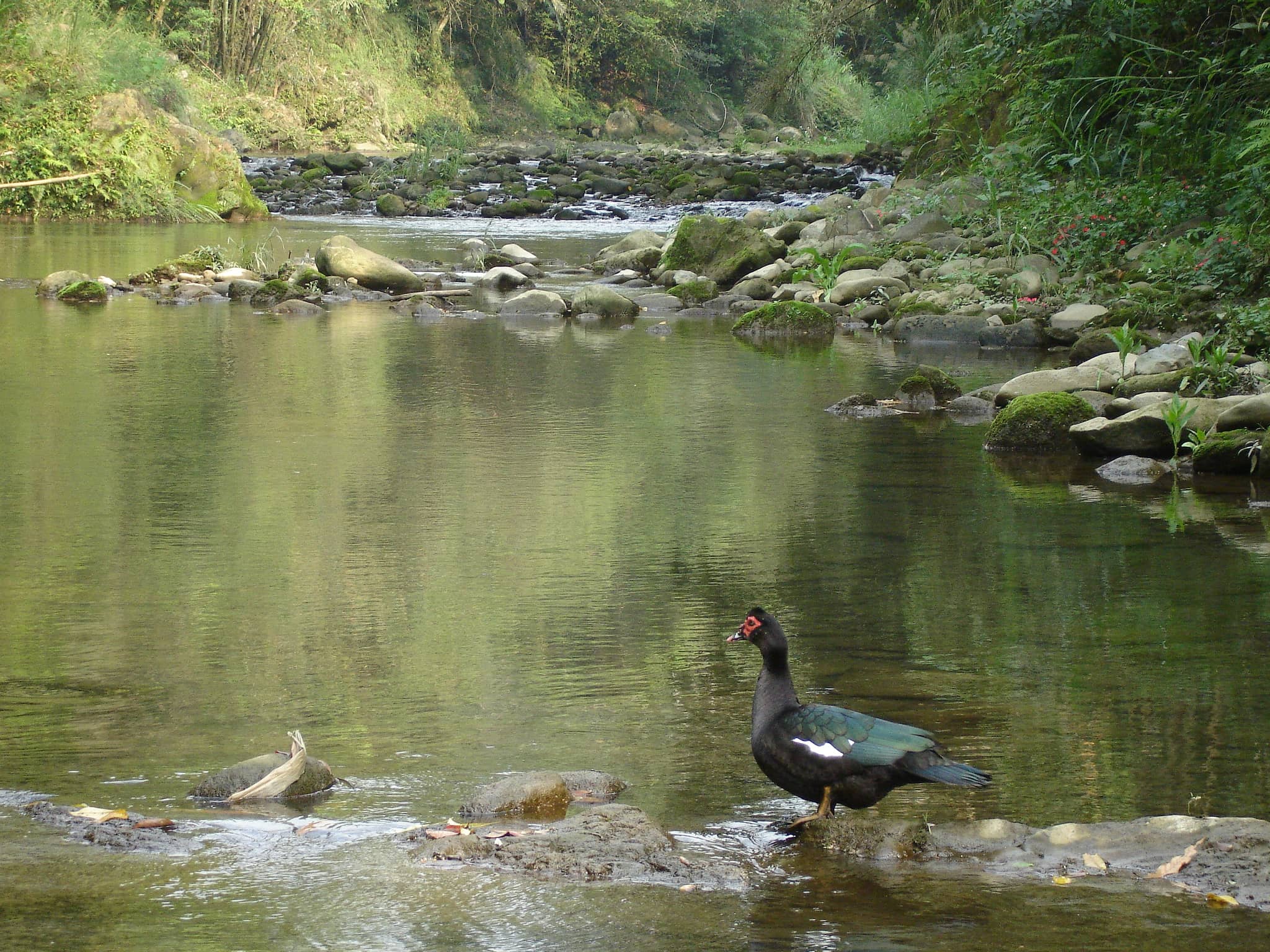 Nature Center Pond
