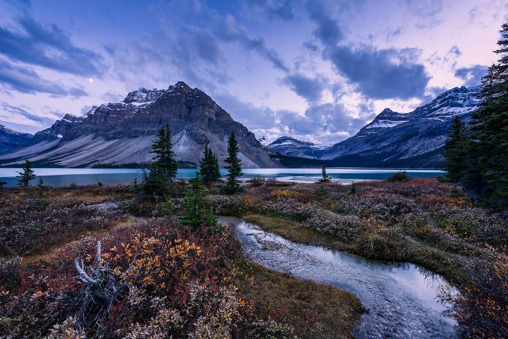 Bow Lake Panorama