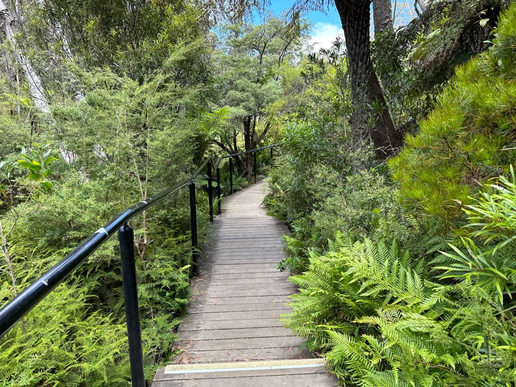 Prince Henry Cliff Walk