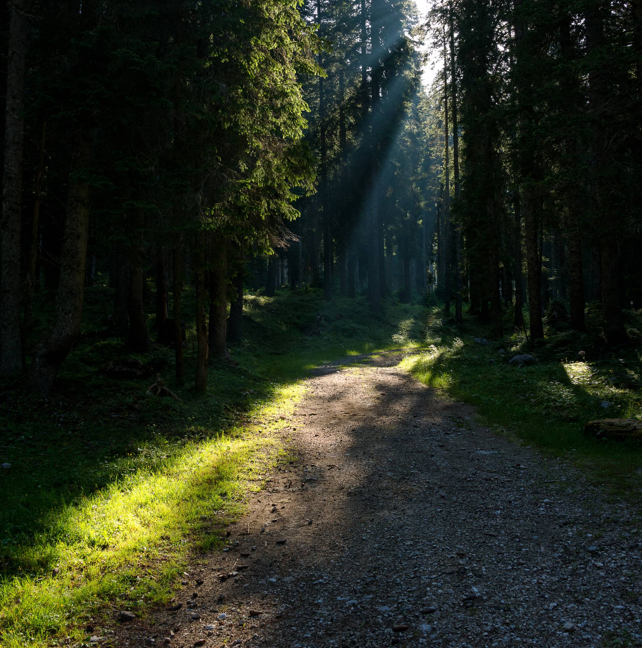 Scenic Mountain Access