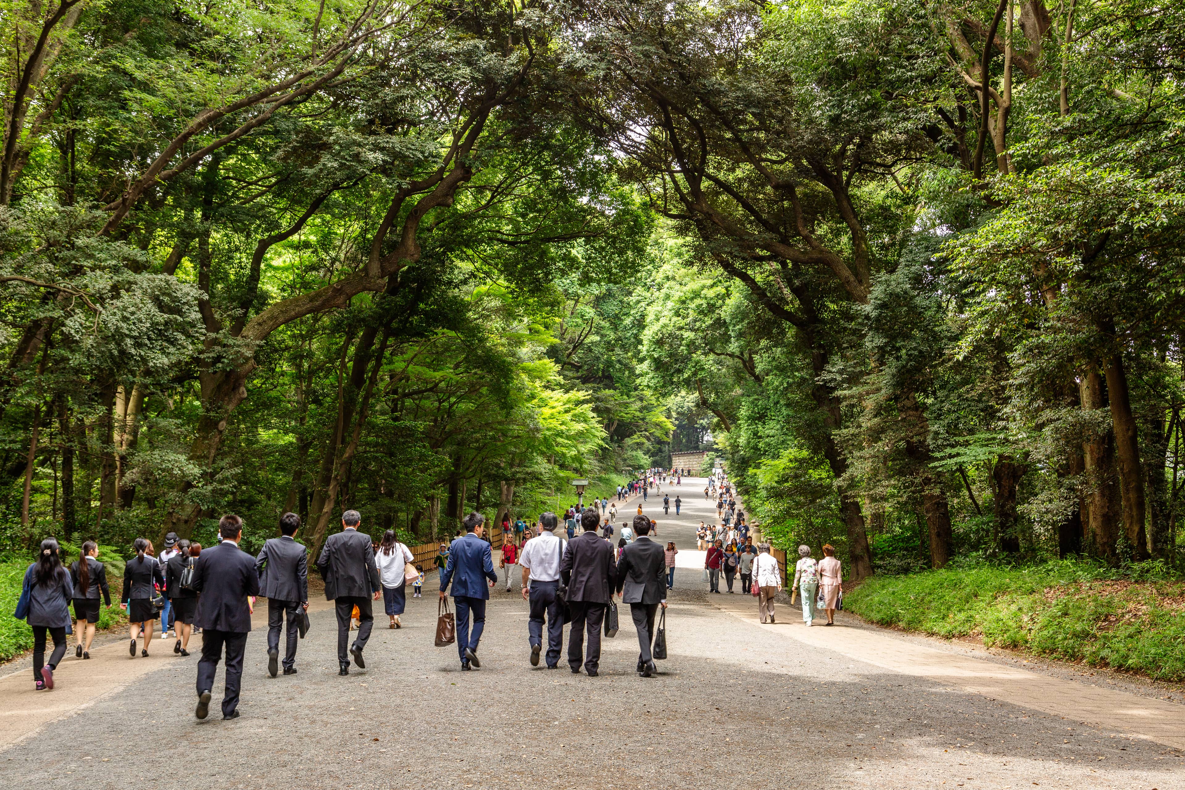 Yoyogi Park Proximity
