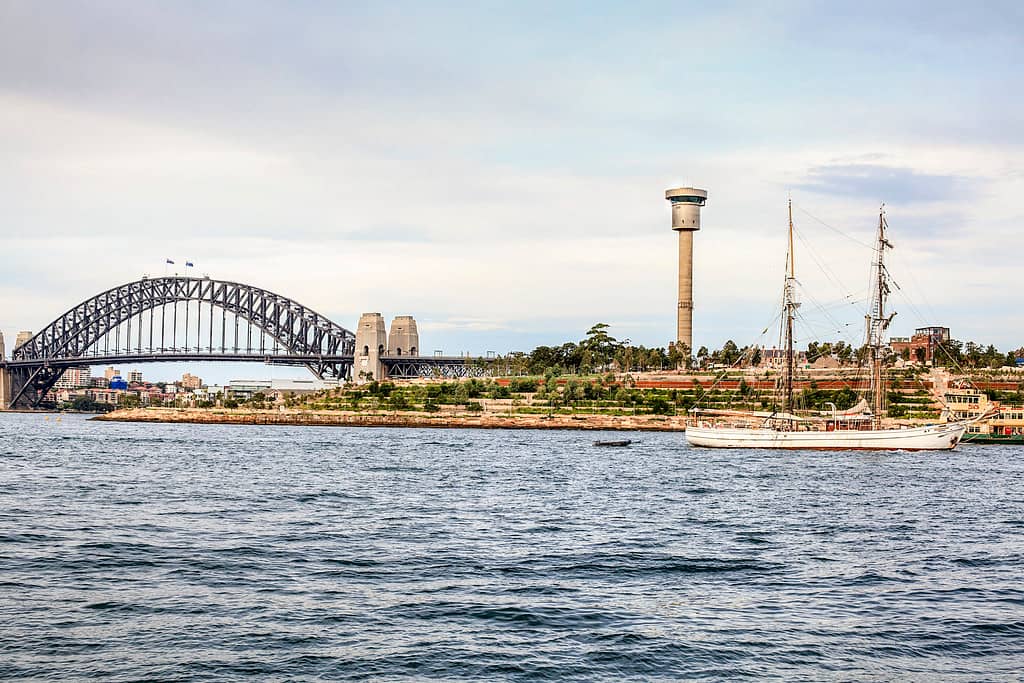 Harbour Views & Native Bushland