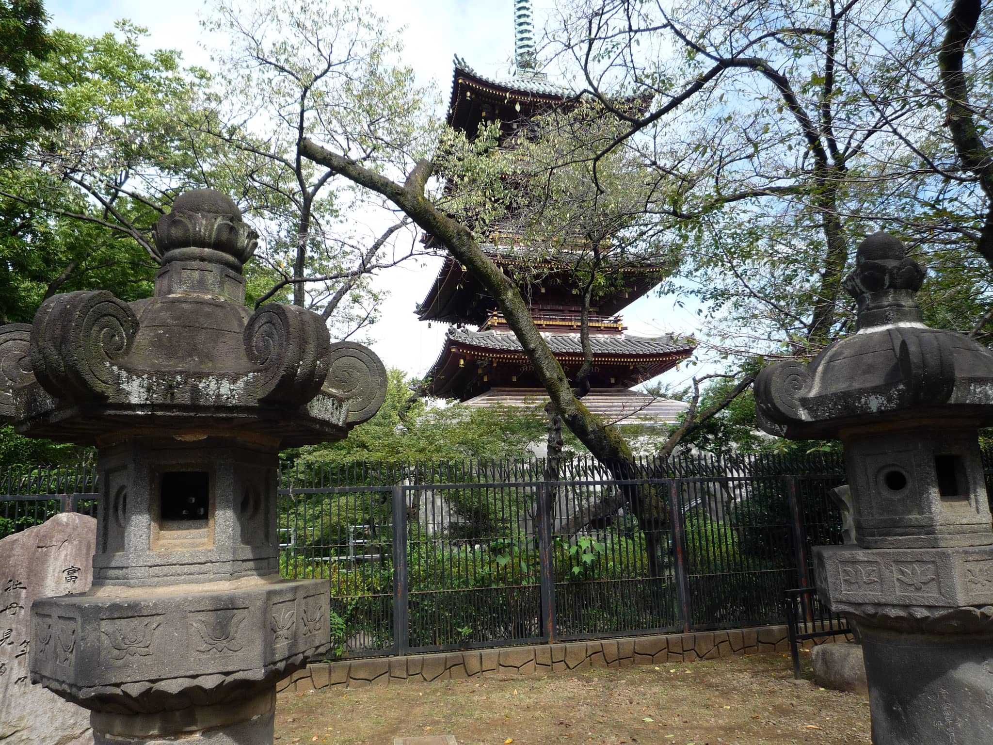 Tokugawa Shogunate Connection