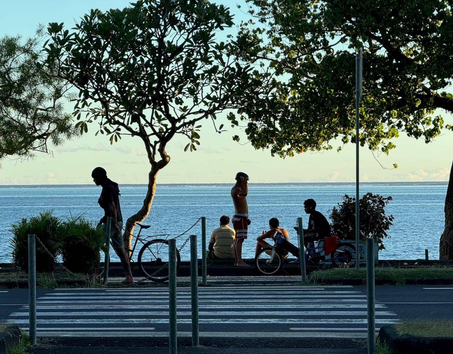 Island Views