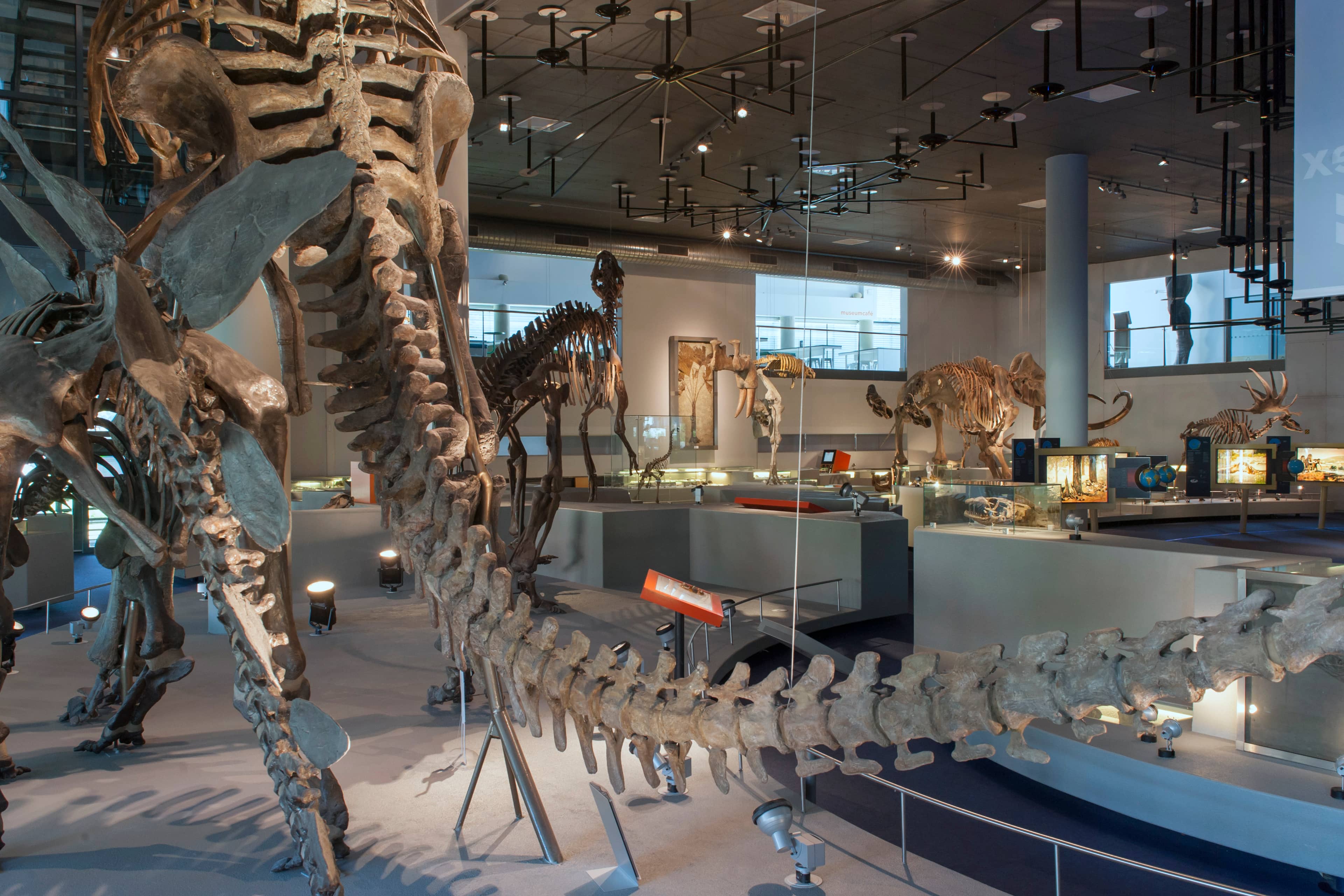 Biodiversity Displays