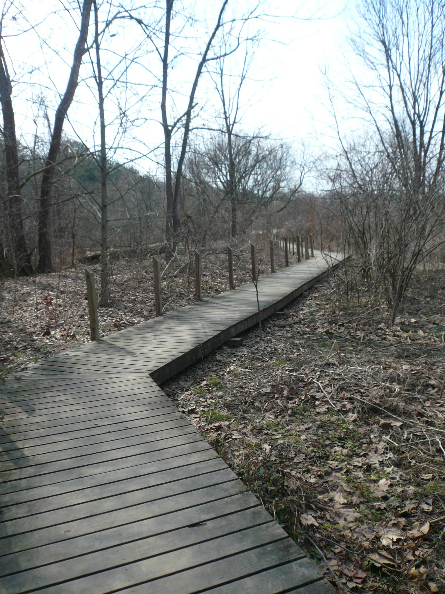 Wetland Boardwalk