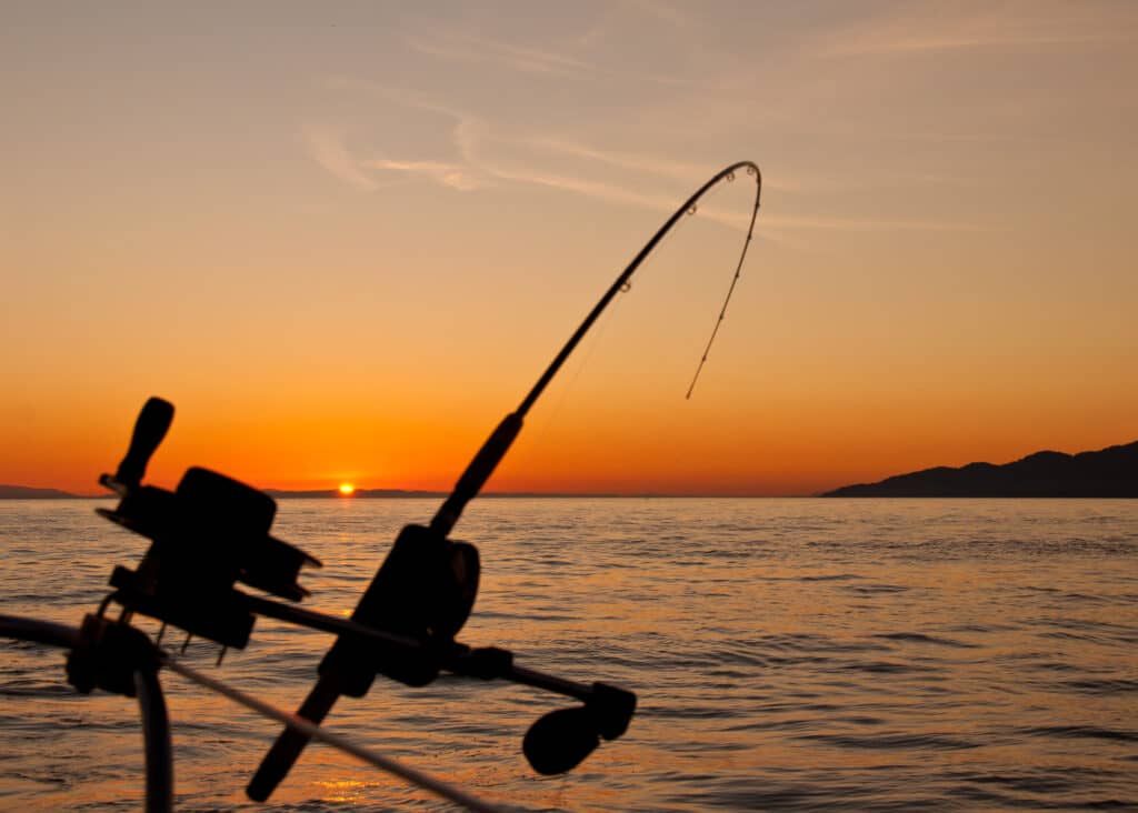 Fishing Adventures