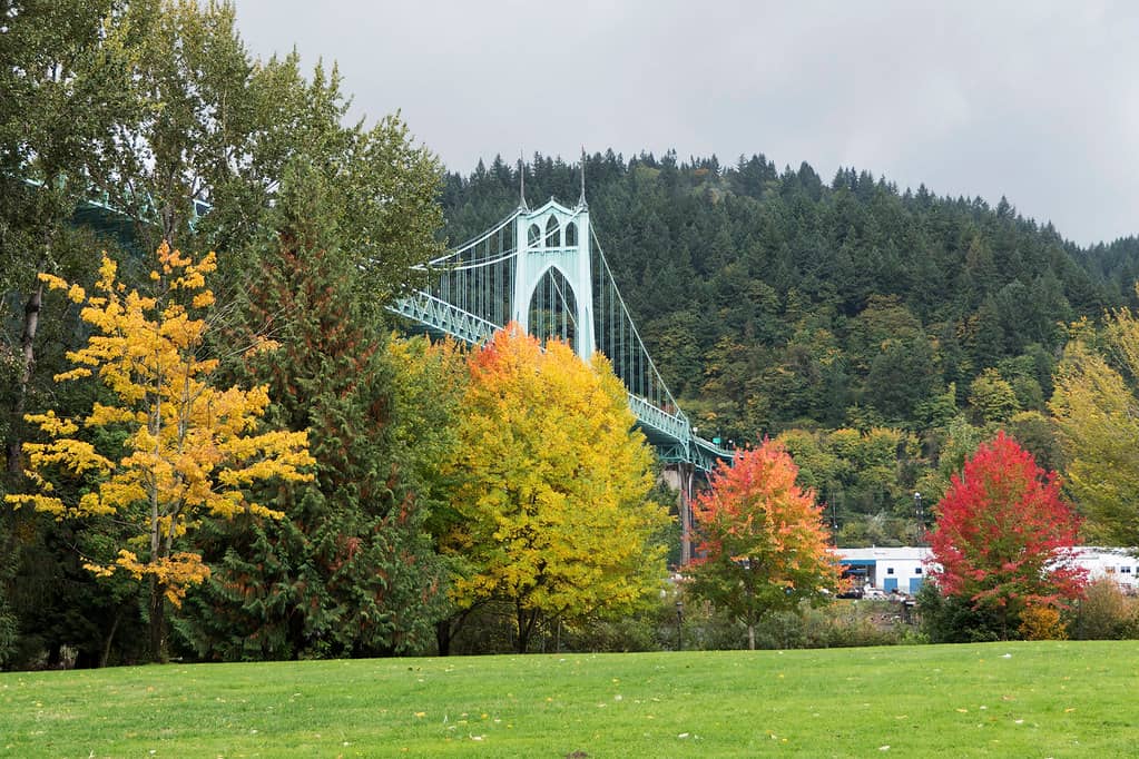Willamette Riverfront