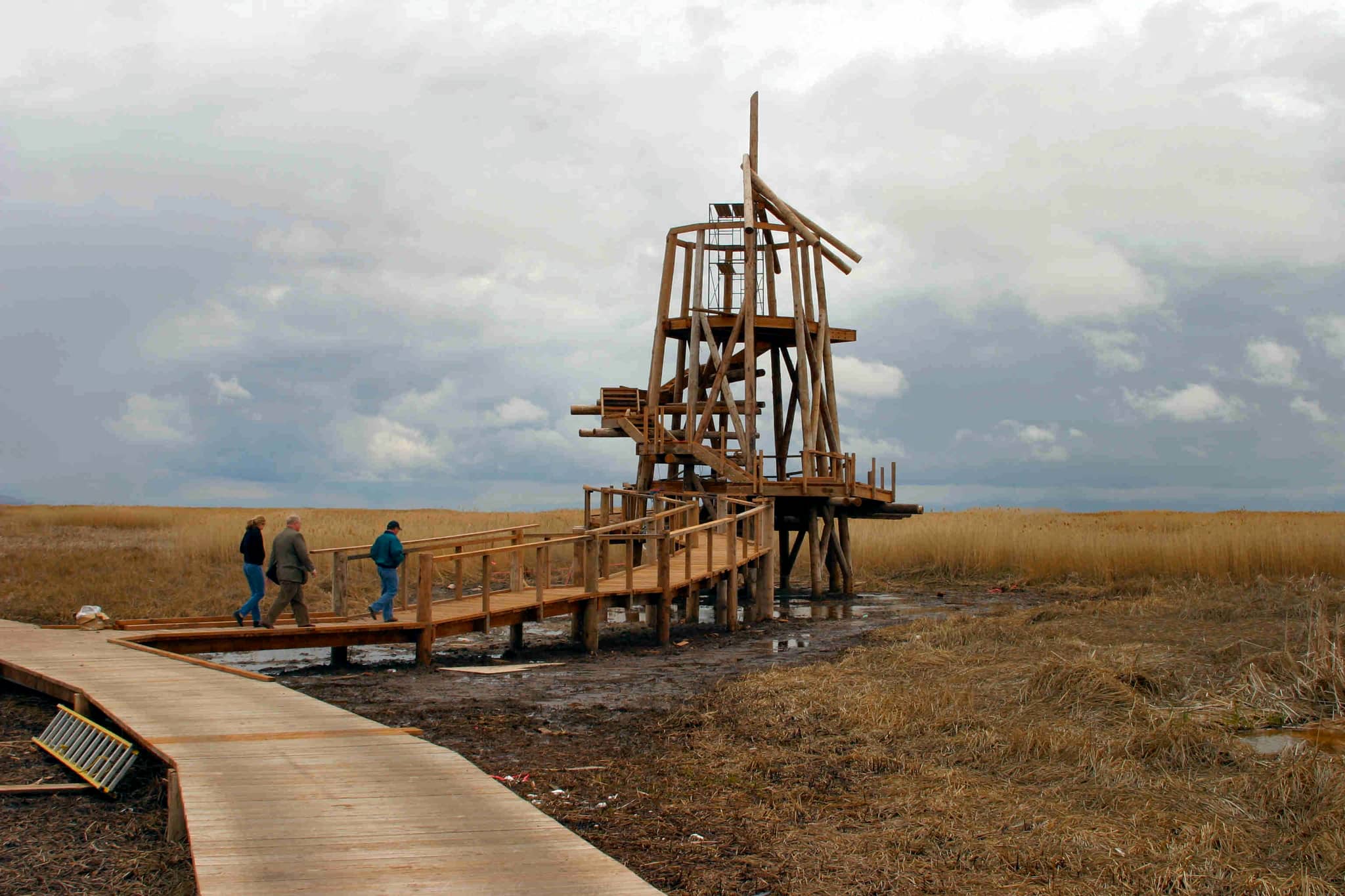 Birdwatching Paradise