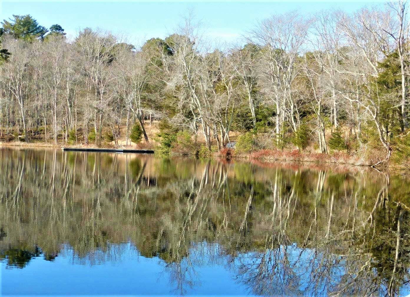 Reservoir Scenery