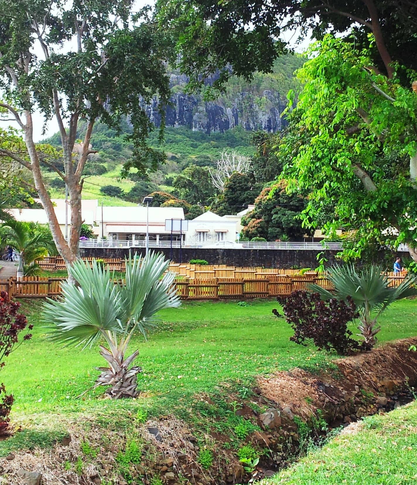 Peaceful Gardens